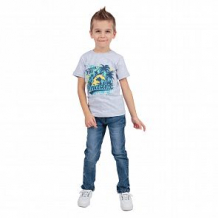 Купить футболка leader kids лови волну, цвет: серый ( id 11315144 )