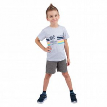 Купить футболка leader kids лови волну, цвет: серый ( id 11315198 )