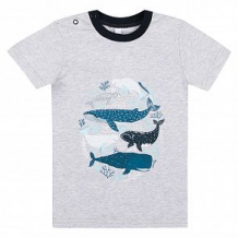 Купить футболка leader kids little sailor, цвет: серый ( id 11360662 )
