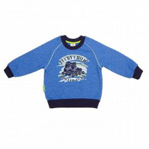 Купить свитшот lucky child basic sport, цвет: голубой ( id 11443354 )