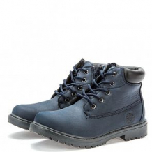 Купить ботинки keddo, цвет: синий ( id 12012358 )
