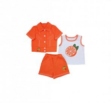 Купить комплект шорты/майка/блузка славита стрекоза, цвет: оранжевый ( id 12292390 )