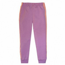 Купить спортивные брюки котмаркот, цвет: фиолетовый ( id 12345364 )