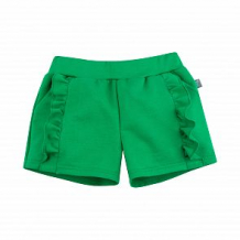 Купить шорты bossa nova, цвет: зеленый ( id 12772456 )