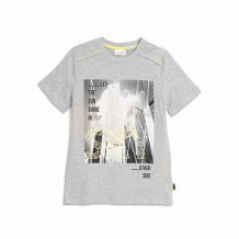Купить футболка coccodrillo, цвет: серый ( id 12808240 )