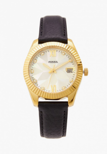 Купить часы fossil rtlaba933401ns00