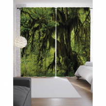 Купить joyarty шторы с фотопечатью мохнатый лес из сатена 290х265 см p_16286_145x265
