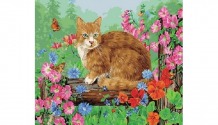 Купить paintboy картина по номерам котик на прогулке gx34311