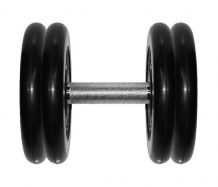 Купить mb barbell гантель профи 21 кг 