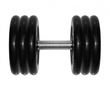 Купить mb barbell гантель профи 31 кг 