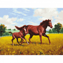 Купить остров сокровищ картина по номерам лошади на лугу 40х50 см 662464