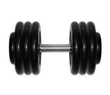 Купить mb barbell гантель профи 36 кг 