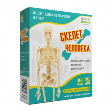 Купить nd play исследовательский набор скелет человека ndp-058