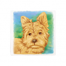 Купить раскраска maxi art многоразовая собачка 20х20 см ma-2104-5-2
