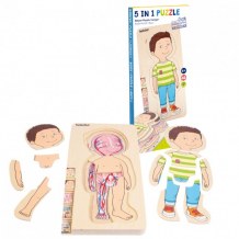 Купить деревянная игрушка beleduc развивающий пазл изучаем тело мальчик 17170