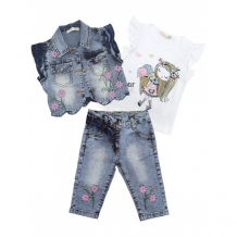 Купить baby rose комплект для девочки жилет, футболка, джинсы 3368 3368