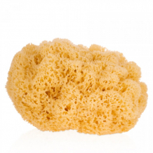 Купить мочалка bellini egidio губка морская натуральная honeycomb 10036-5260/sa