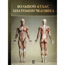 Купить издательство аст большой атлас анатомии человека 