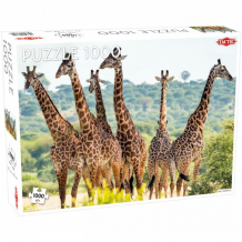 Купить tactic games пазлы жирафы (1000 элементов) 56755