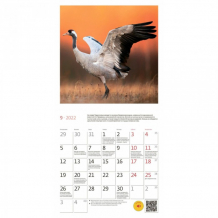 Купить контэнт календарь настенный моноблочный природа россии на 2022 год 1383770