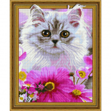 Купить paintboy алмазная картина на подрамнике котенок в цветах 50х40 см tsgj1085