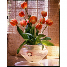 Купить рыжий кот роспись по холсту тюльпаны в прозрачной вазе 50х40 см х-3686