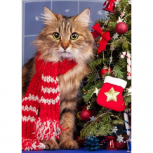 Купить рыжий кот роспись по холсту новогодний котик у елочки 40х30 см хк-2241