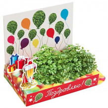 Купить набор для выращивания happy plant поздравляю-поздравляю! ( id 16874062 )