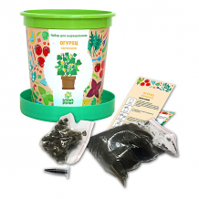 Купить набор для выращивания happy plant огурец корнишон в горшке ( id 16874067 )