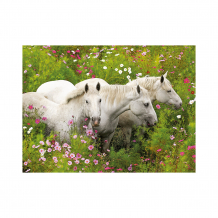 Купить пазл «лошади в поле цветов» xxl 300 шт ( id 7376932 )