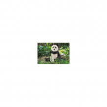 Купить коллекционная фигурка schleich "дикие животные" гигантская панда, самка ( id 7929598 )