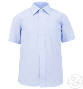 Купить рубашка rodeng, цвет: голубой ( id 3298499 )