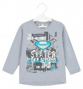 Купить джемпер babyglory skateboarder, цвет: серый ( id 8517811 )
