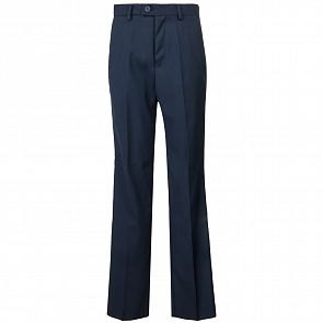Купить брюки rodeng, цвет: синий ( id 9399955 )