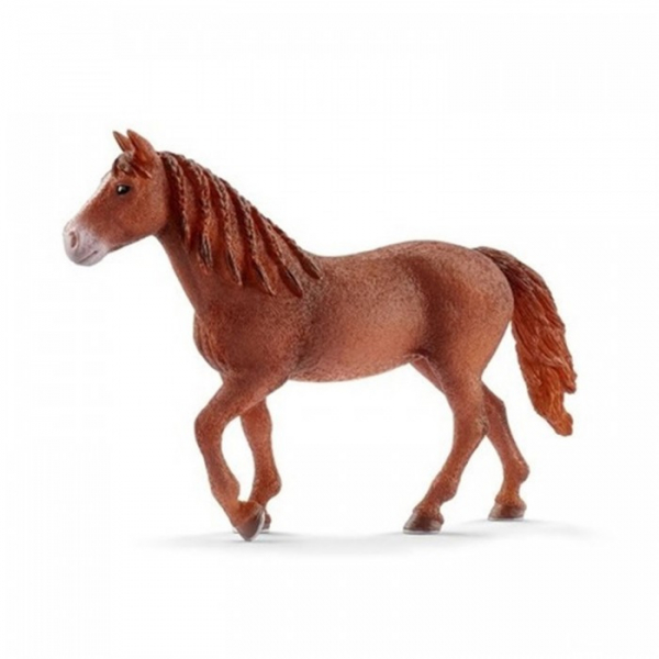 Купить schleich фигурка кобыла морган 13870