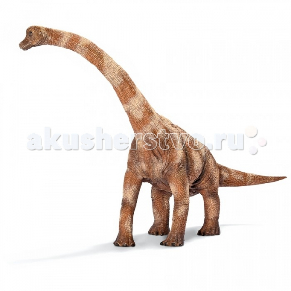 Купить schleich игровая фигурка брахиозавр динозавры sh-14515