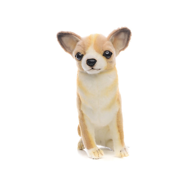 Купить мягкая игрушка hansa "собака породы чихуахуа", 31 см ( id 7199065 )