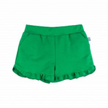 Купить шорты bossa nova, цвет: зеленый ( id 12772834 )