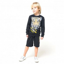 Купить шорты crockid тигры в городе, цвет: черный ( id 12757174 )