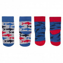 Купить комплект носки 2 пары fun time, цвет: синий/серый ( id 12630406 )