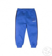 Купить брюки bossa nova чемпион, цвет: синий ( id 10338461 )