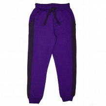 Купить спортивные брюки winkiki, цвет: фиолетовый ( id 11838172 )
