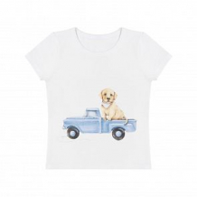 Купить футболка роскошь с пеленок собачка на машинке, цвет: молочный ( id 11376934 )
