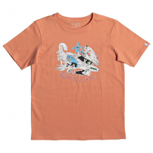 Купить футболка детская quiksilver ss days on cadmium orange оранжевый ( id 1201631 )