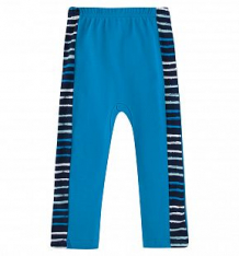 Купить брюки котмаркот морская, цвет: синий ( id 10291910 )