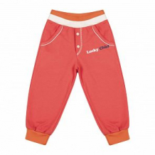 Купить брюки lucky child, цвет: коралловый ( id 6059149 )