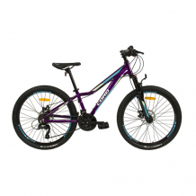 Купить велосипед двухколесный cord starlight 26 с дисковыми тормозами 2023 crd-std2601-13