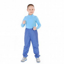 Купить брюки милашка сьюзи, цвет: синий ( id 11446024 )