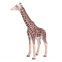 Купить konik жираф самец amw2004