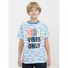 Купить pelican футболка для мальчика #стиль жизни добрый 267/2 bft